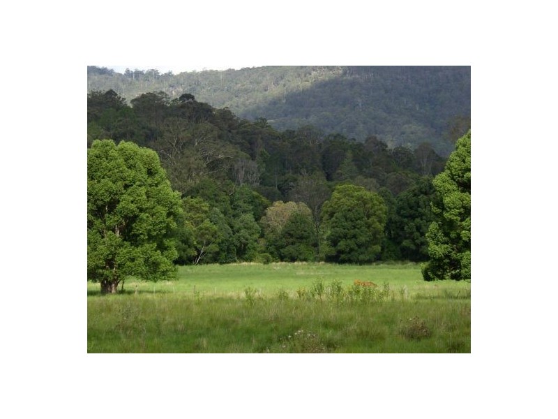 1868 Cawongla Road, Kyogle NSW 2474