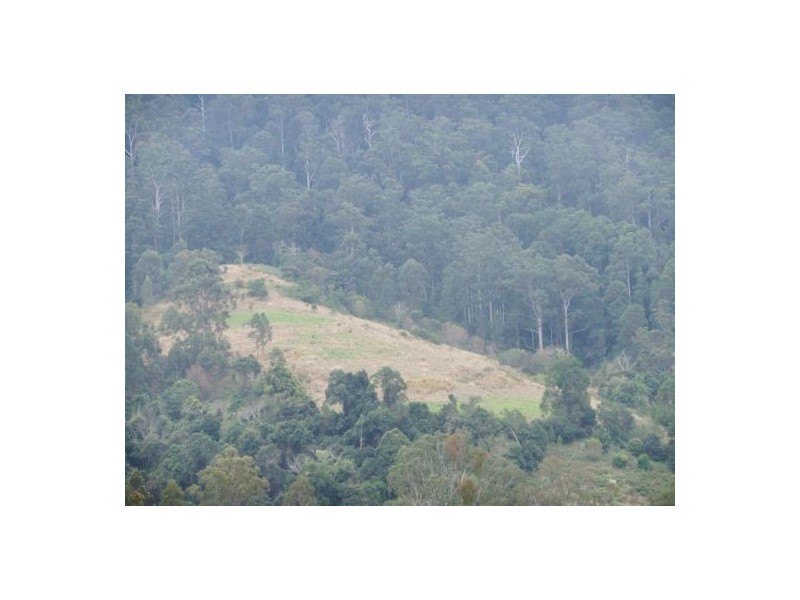 Lismore NSW 2480