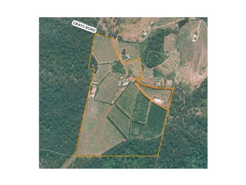 212 Grays Road, Grafton NSW 2460