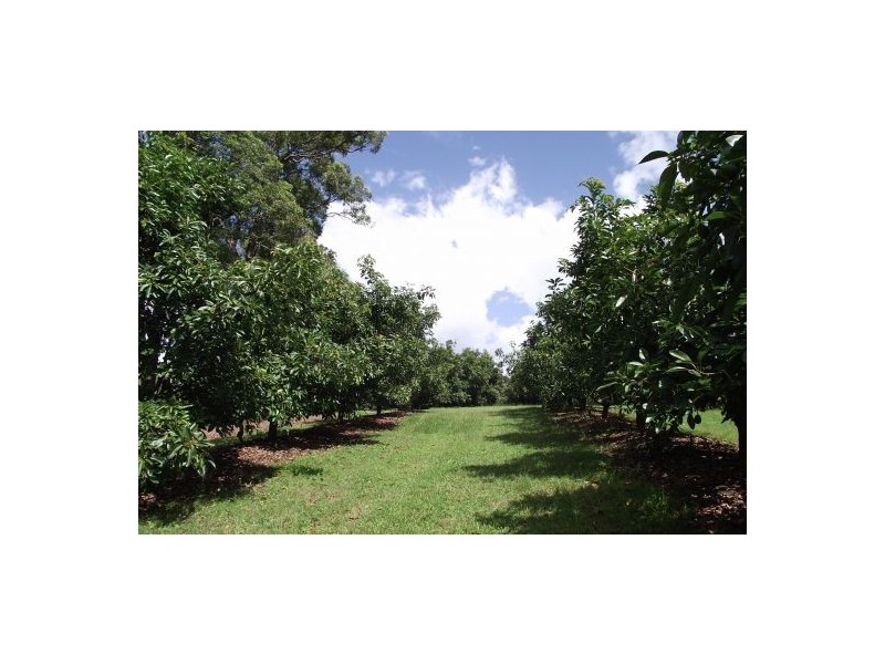 #746 Green Pigeon Road, Kyogle NSW 2474