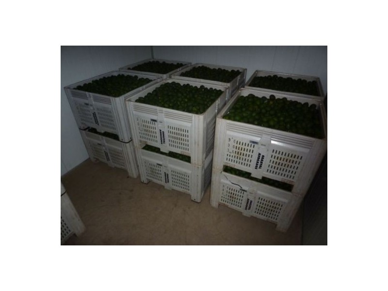 #746 Green Pigeon Road, Kyogle NSW 2474