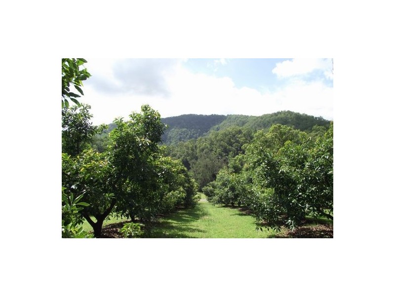 #746 Green Pigeon Road, Kyogle NSW 2474