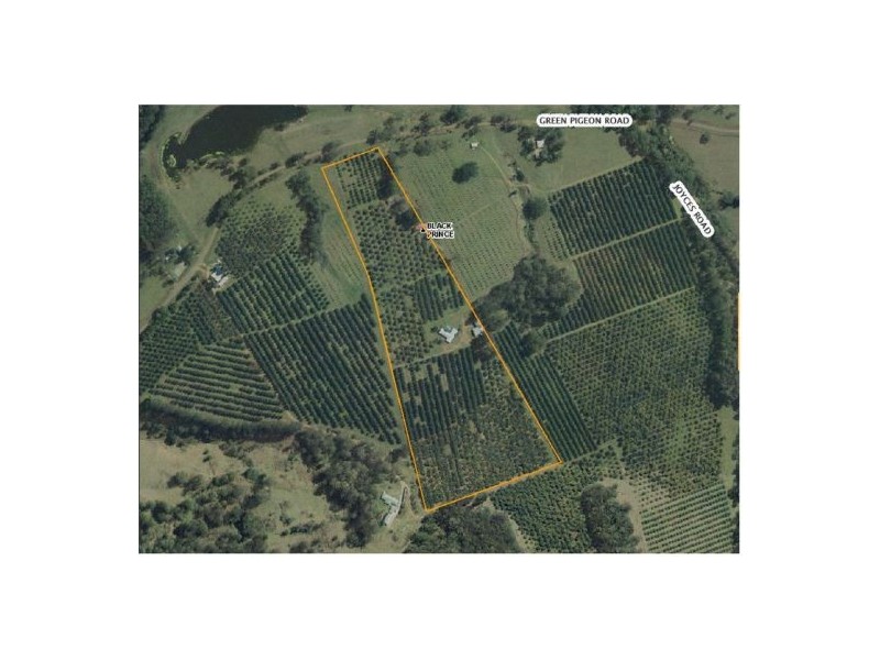 #746 Green Pigeon Road, Kyogle NSW 2474