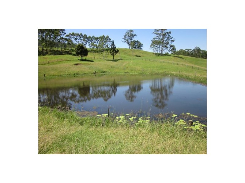 820 Williams Road, Kyogle NSW 2474