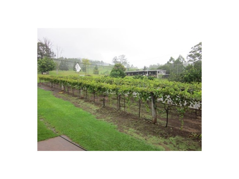 820 Williams Road, Kyogle NSW 2474