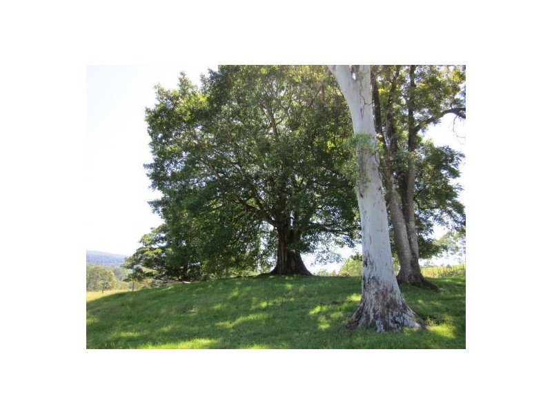 820 Williams Road, Kyogle NSW 2474