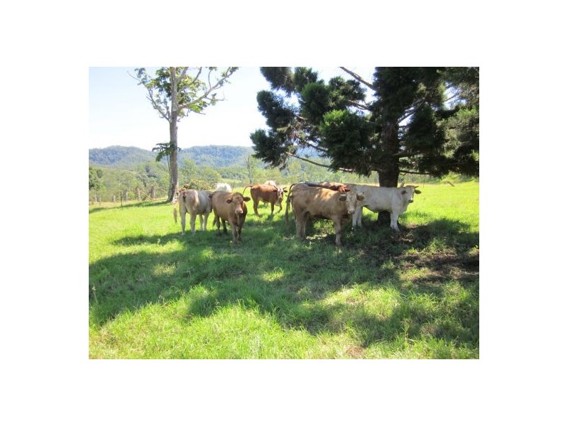 820 Williams Road, Kyogle NSW 2474