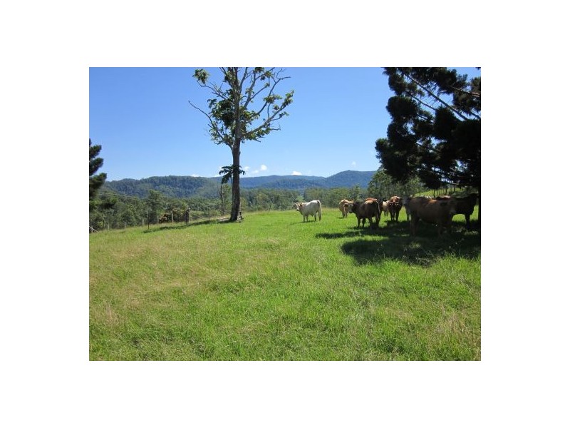 820 Williams Road, Kyogle NSW 2474