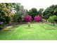52 Kyogle Road, Kyogle NSW 2474