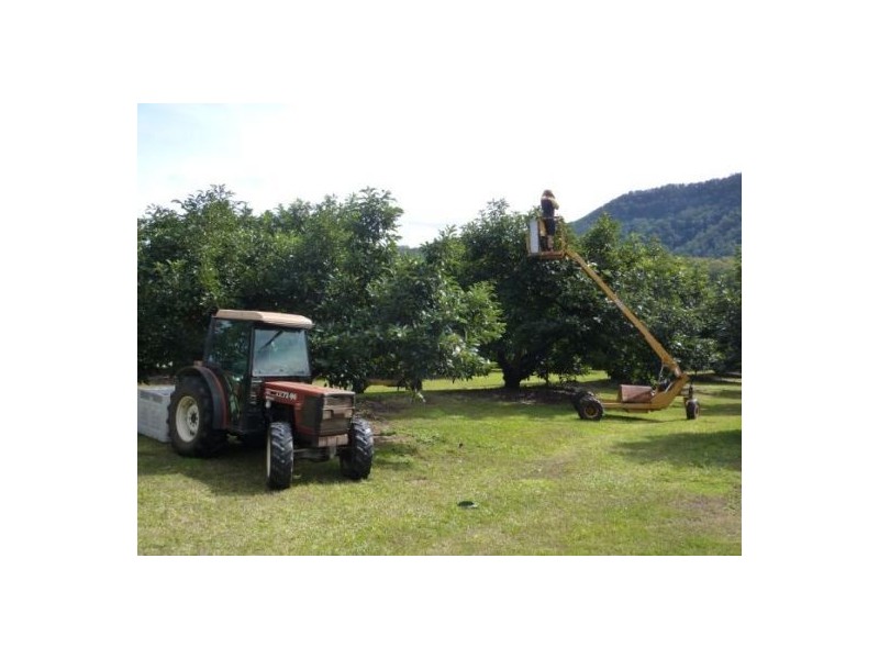 746 Green Pigeon Road, Kyogle NSW 2474