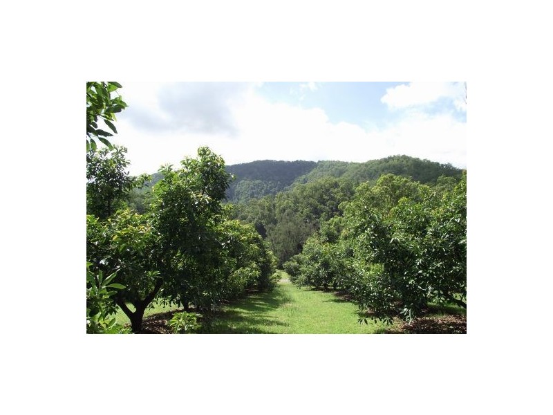 746 Green Pigeon Road, Kyogle NSW 2474