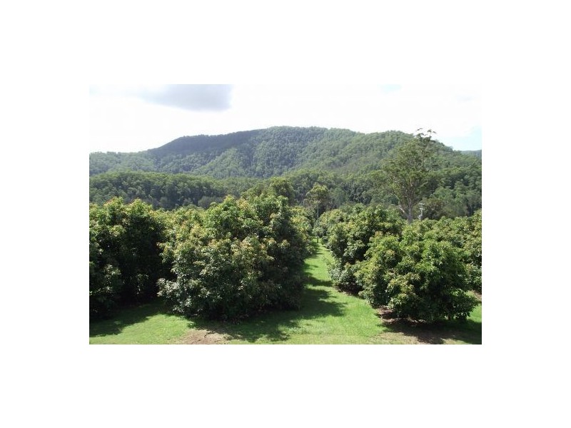 746 Green Pigeon Road, Kyogle NSW 2474