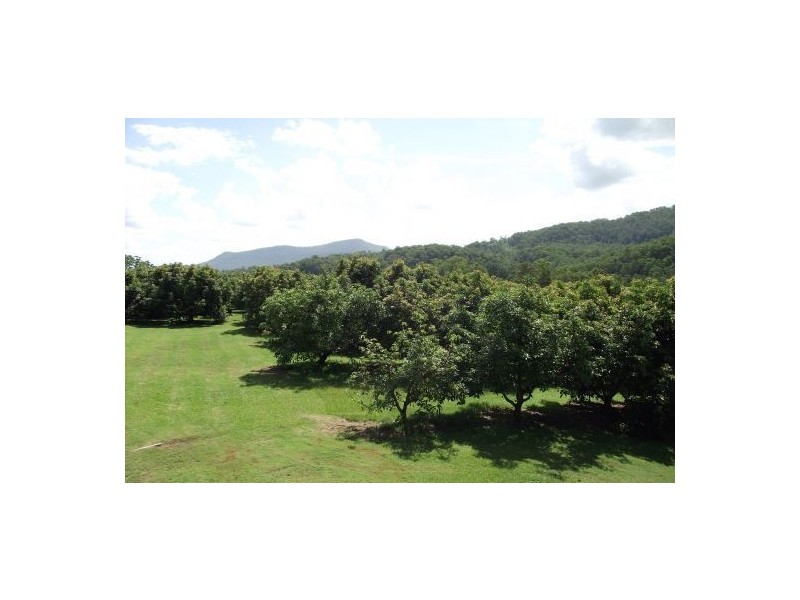 746 Green Pigeon Road, Kyogle NSW 2474