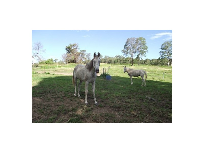 23 Newtons Road, Kyogle NSW 2474