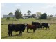 110 Baraimal Lane, Kyogle NSW 2474
