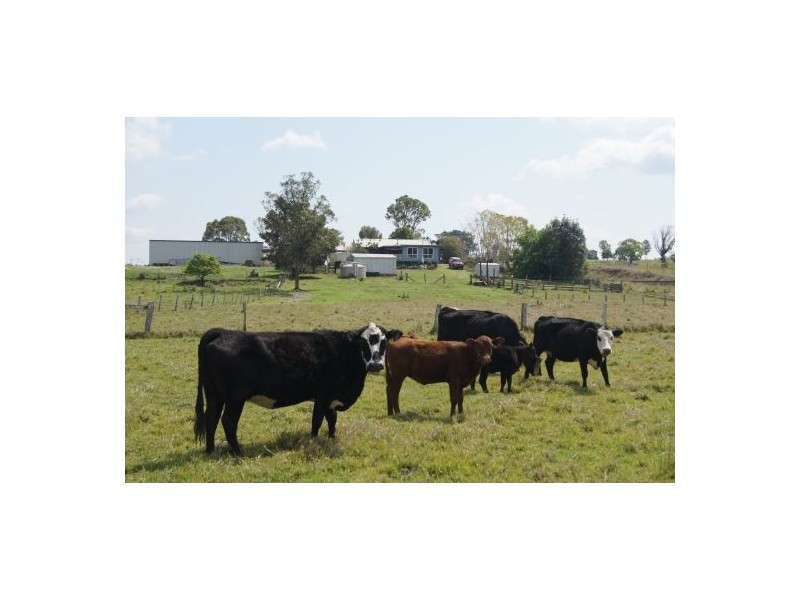110 Baraimal Lane, Kyogle NSW 2474
