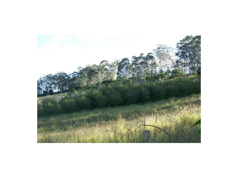 416 Sargents Road, Kyogle NSW 2474