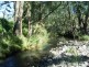 Lot 13, 451 Smiths Creek Rd, Kyogle NSW 2474