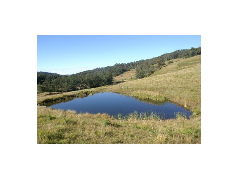 Lot 13, 451 Smiths Creek Rd, Kyogle NSW 2474