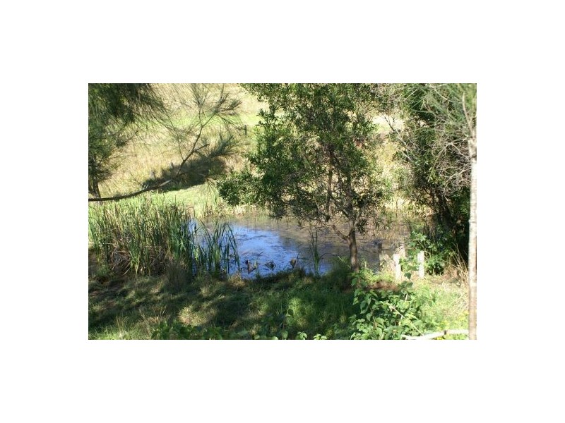 Lot 13, 451 Smiths Creek Rd, Kyogle NSW 2474