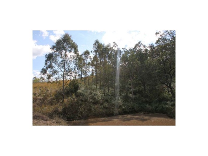 264 Blackhorse Creek Rd, Kyogle NSW 2474