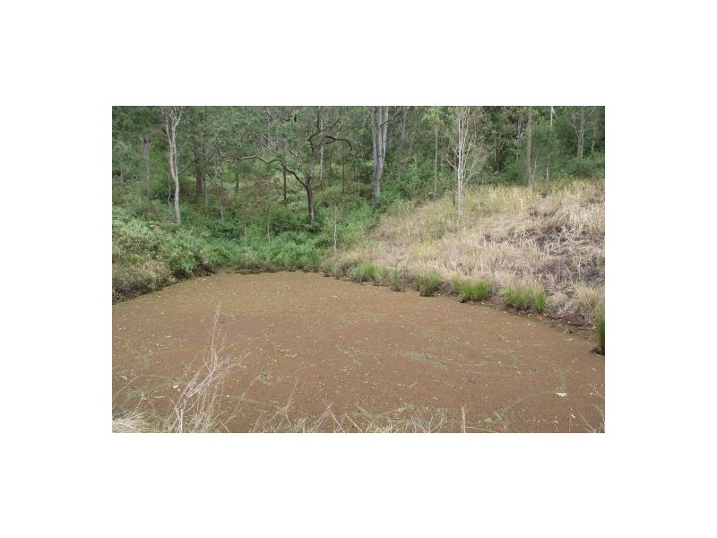 264 Blackhorse Creek Rd, Kyogle NSW 2474