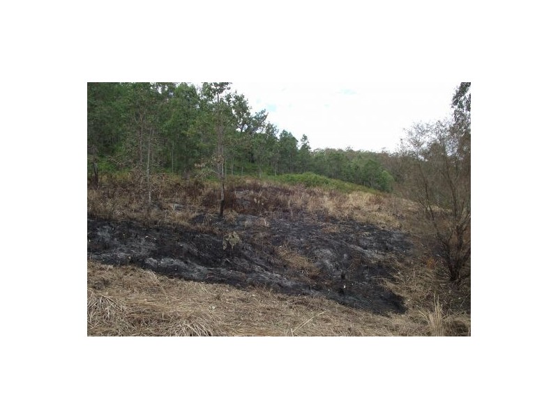 264 Blackhorse Creek Rd, Kyogle NSW 2474