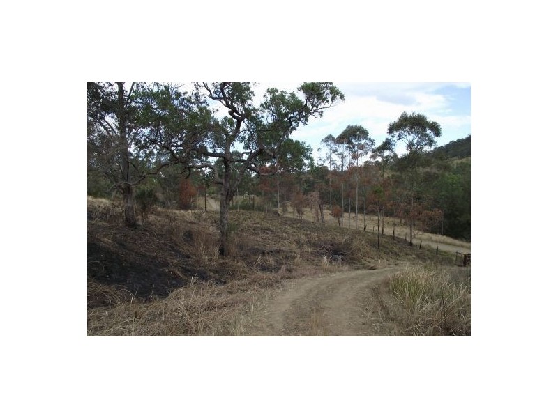 264 Blackhorse Creek Rd, Kyogle NSW 2474