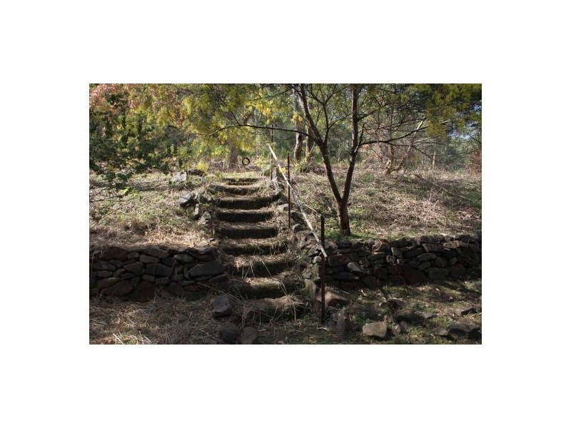 264 Blackhorse Creek Rd, Kyogle NSW 2474