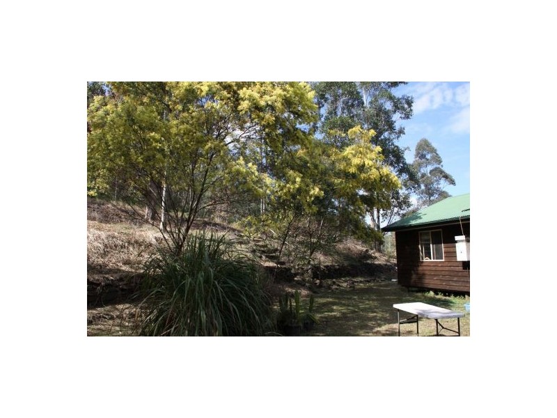 264 Blackhorse Creek Rd, Kyogle NSW 2474