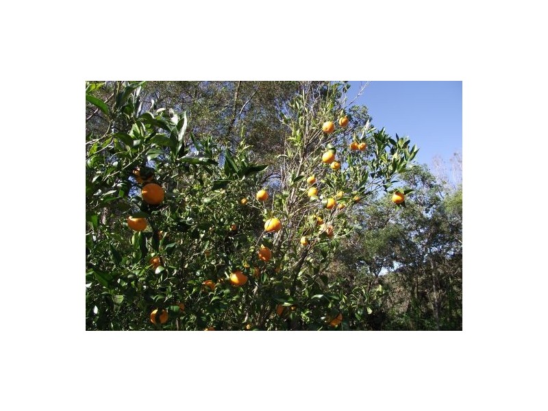 1108 Upper Eden Creek Road, Kyogle NSW 2474