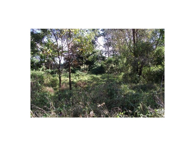 29 Iron Pot Creek Road, Kyogle NSW 2474