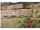 1703 Collins Creek Road, Kyogle NSW 2474