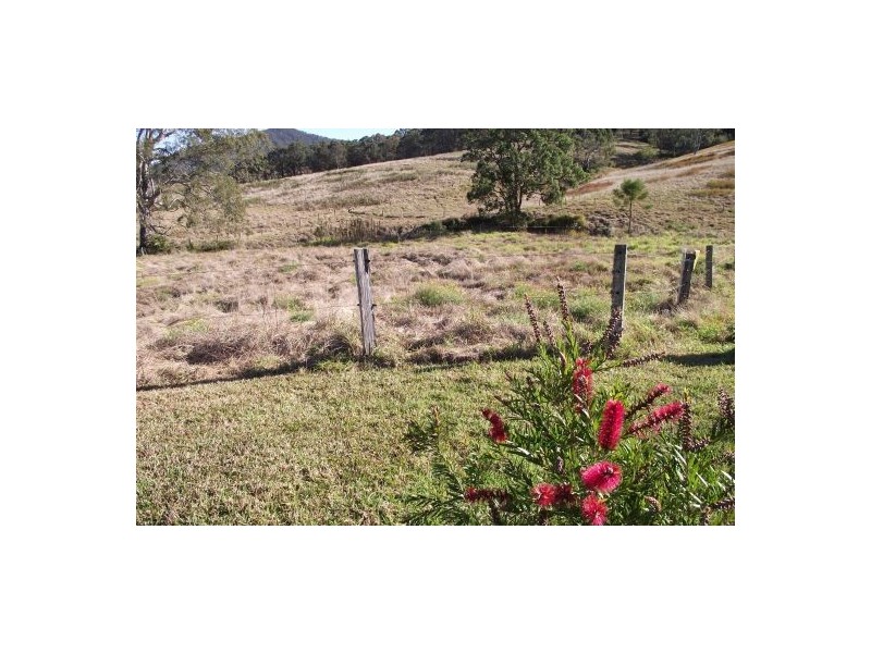 1703 Collins Creek Road, Kyogle NSW 2474