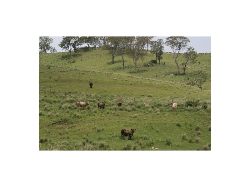 Lot 571 Afterlee Road, Kyogle NSW 2474