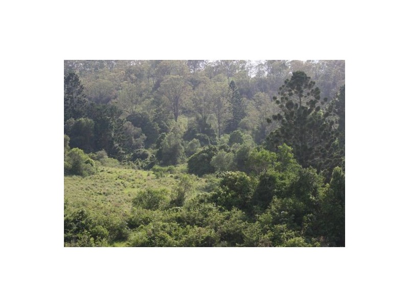 Lot 571 Afterlee Road, Kyogle NSW 2474