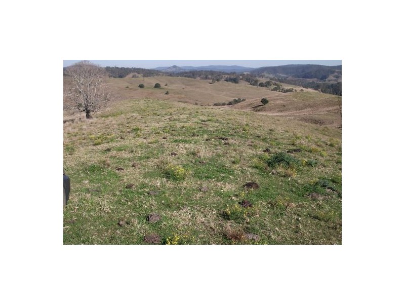 Lot 571 Afterlee Road, Kyogle NSW 2474