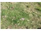 Lot 571 Afterlee Road, Kyogle NSW 2474