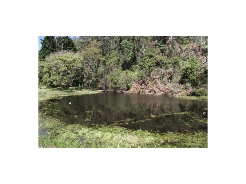 Site 5 – 278 Mulvena Road, Larnook NSW 2480