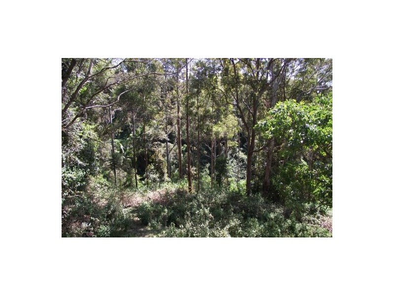Site 5 – 278 Mulvena Road, Larnook NSW 2480