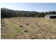 Kyogle NSW 2474