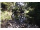 Kyogle NSW 2474