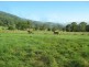 Kyogle NSW 2474