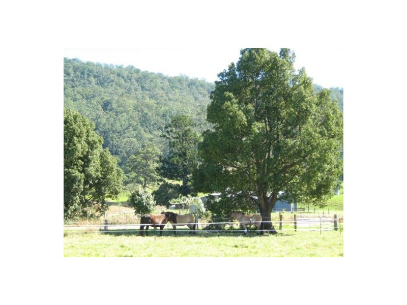 Kyogle NSW 2474