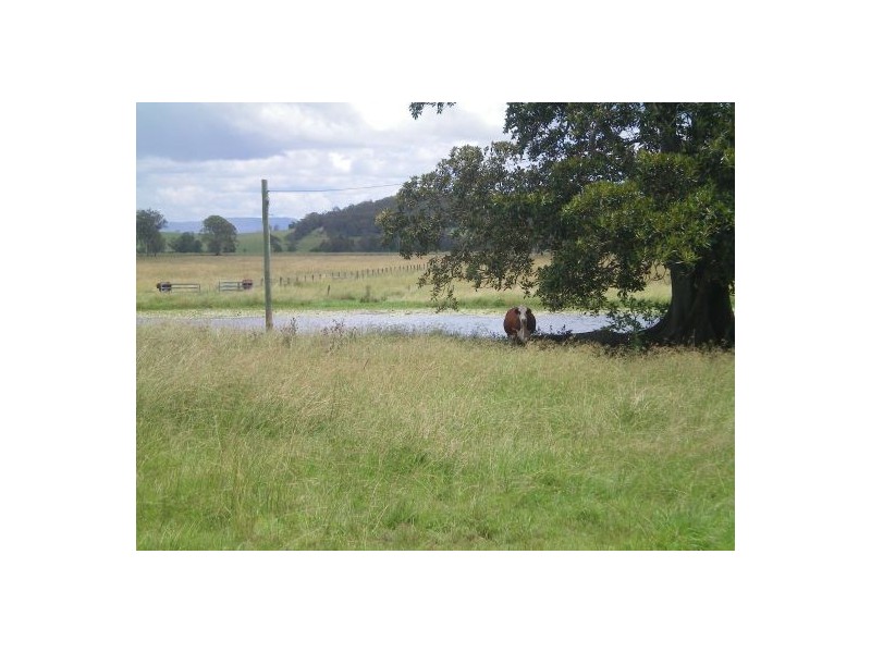 100 Baraimal Lane, Kyogle NSW 2474