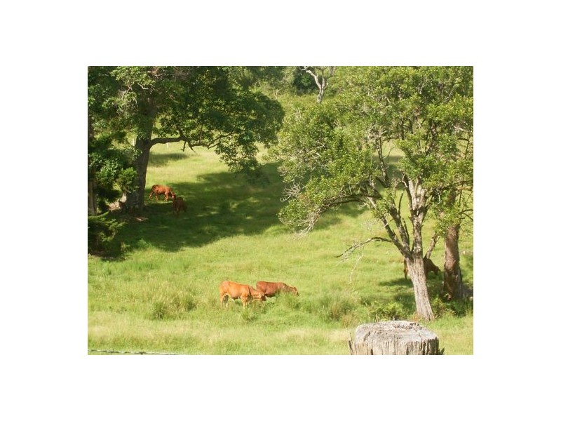 482 Afterlee Road, Kyogle NSW 2474