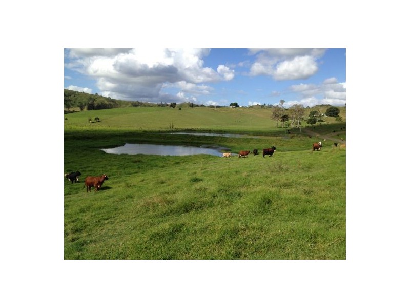 1038 Summerland Way, Kyogle NSW 2474