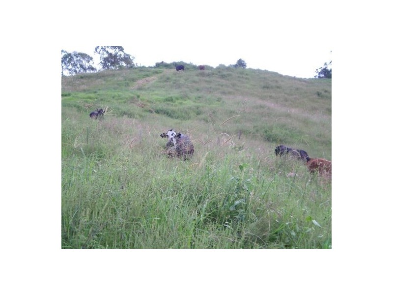 1038 Summerland Way, Kyogle NSW 2474