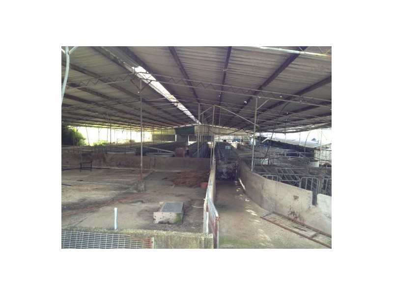 1038 Summerland Way, Kyogle NSW 2474