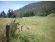 Larnook NSW 2480